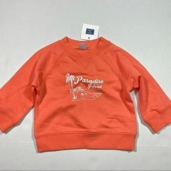 New Janie and Jack Girls Crewneck Sweatshirt Size 6-12 Months - Picture 1 of 4